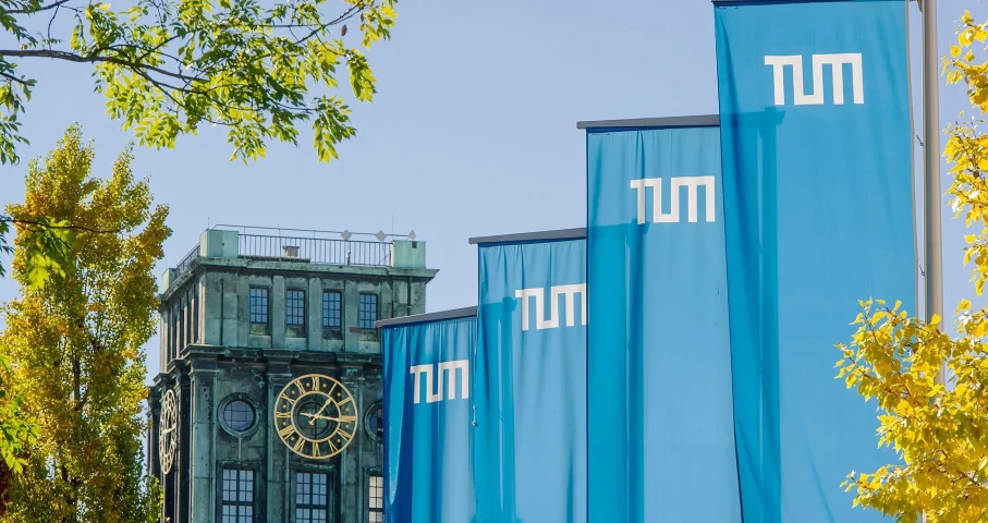 German University Consultant